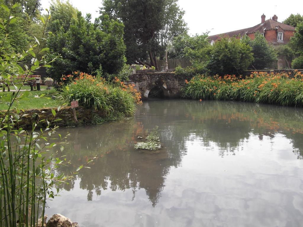 Le Moulin Du Modon Proche Du Zooparc De Beauval Bed & Breakfast Couffy Exterior photo