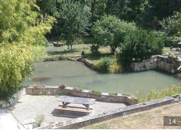 Le Moulin Du Modon Proche Du Zooparc De Beauval Bed & Breakfast Couffy Exterior photo